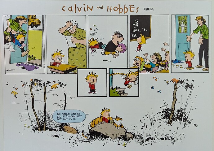 Calvin and Hobbes