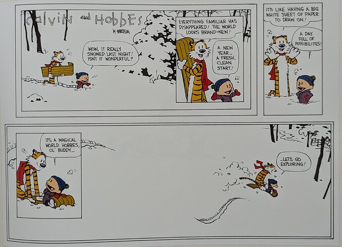 Calvin and Hobbes